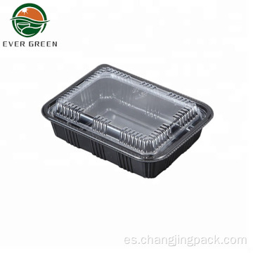 Siempre green rectangular para comida para comida rectangular bandejas de alimentos de sushi